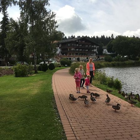 Fewo Andresen Hahnenklee Гослар Екстер'єр фото