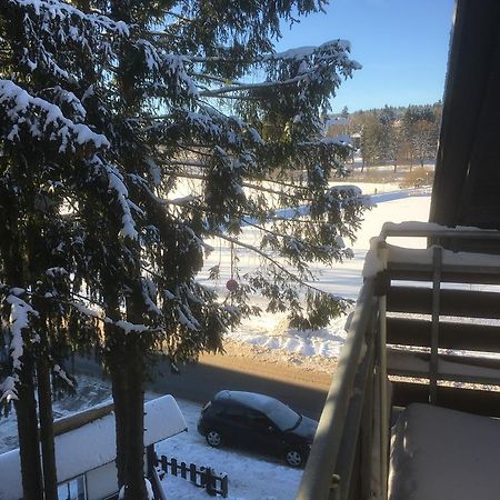 Fewo Andresen Hahnenklee Гослар Екстер'єр фото