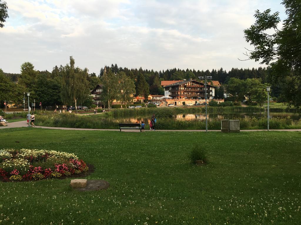 Fewo Andresen Hahnenklee Гослар Екстер'єр фото