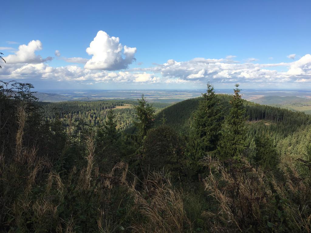 Fewo Andresen Hahnenklee Гослар Екстер'єр фото