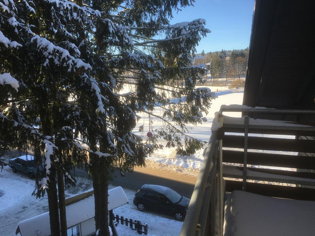 Fewo Andresen Hahnenklee Гослар Екстер'єр фото